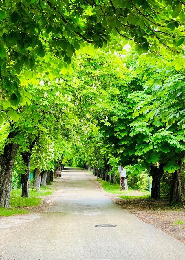 Aranygesztenye Apartmanhaz Balatonudvari Exterior foto